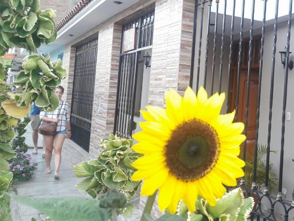 Nasca Travel One Hostel image 17