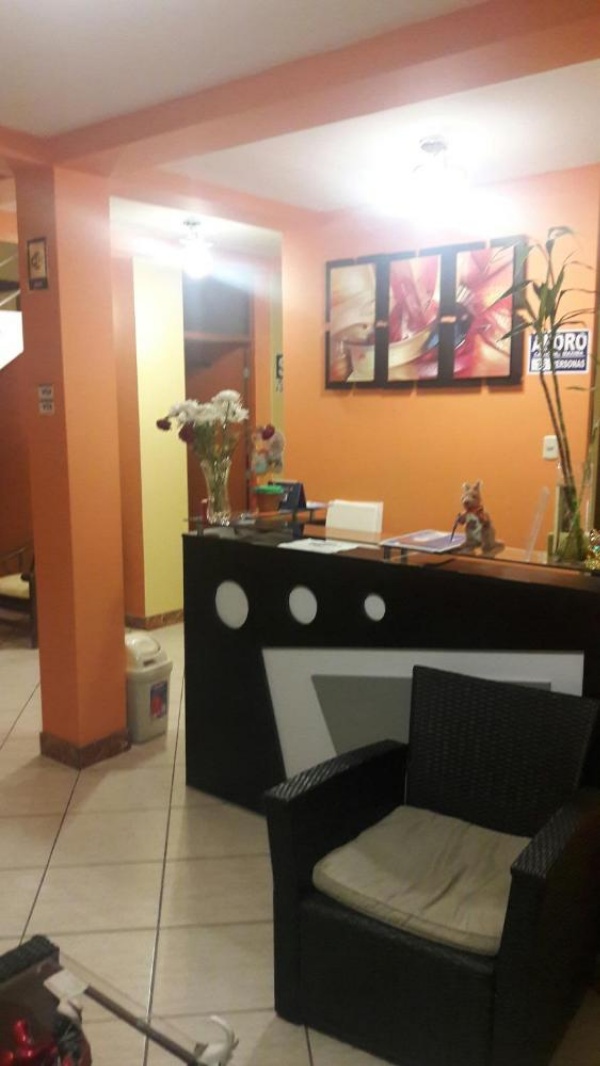 Nasca Travel One Hostel image 19